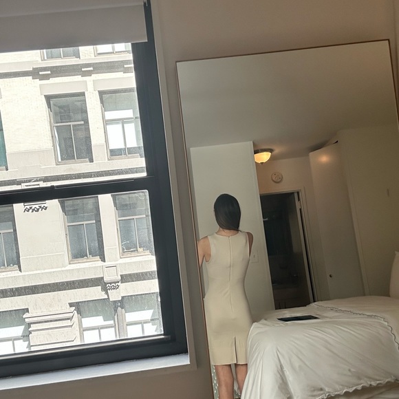 Aritzia Babaton stretch body con sheath dress. Size 0. - Picture 3 of 7